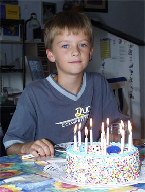 tarta.jpg (33341 bytes)